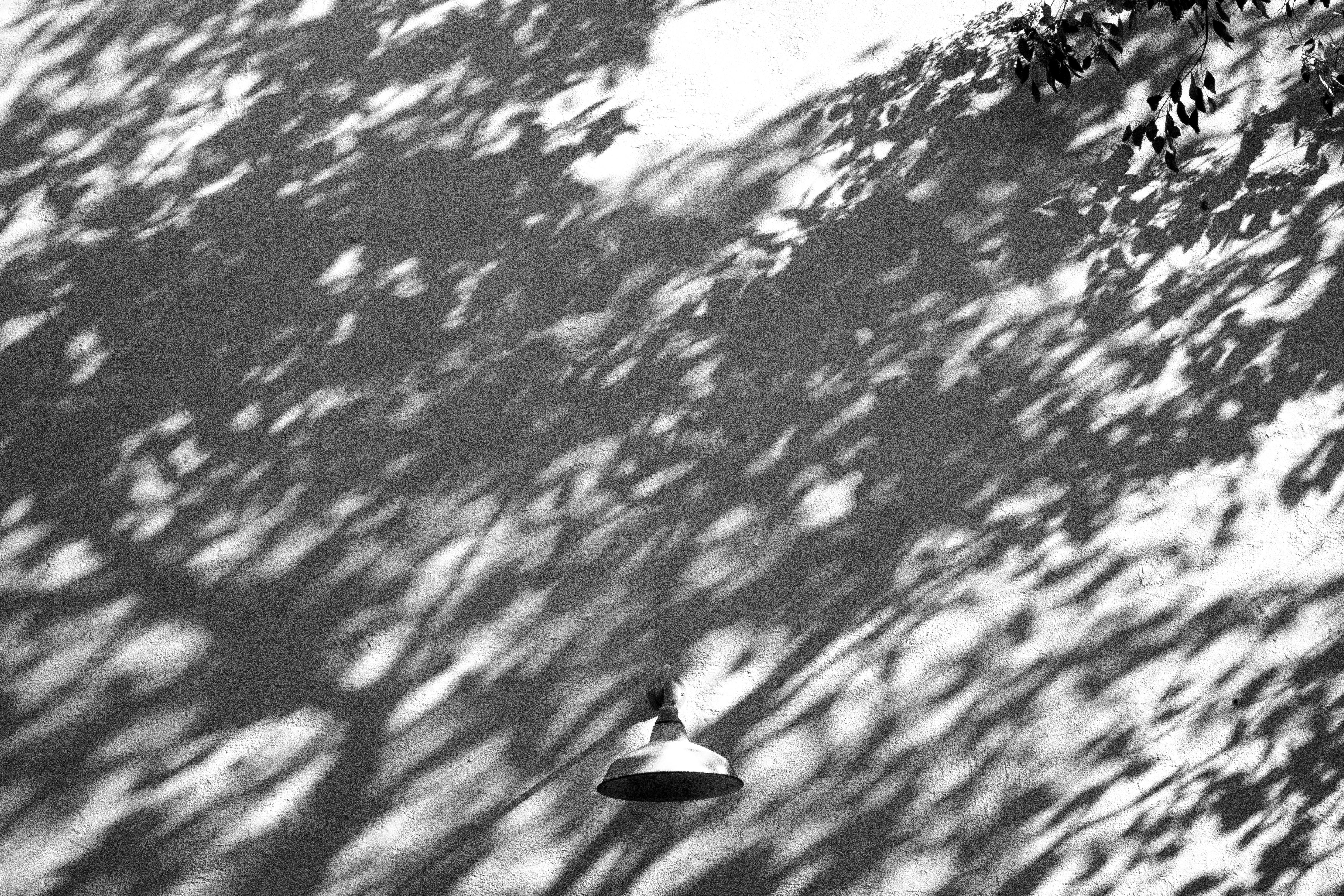 Leaf Shadow